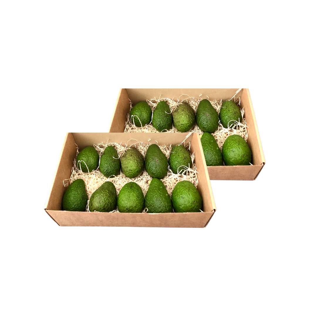 AGUACATE HASS 4kg