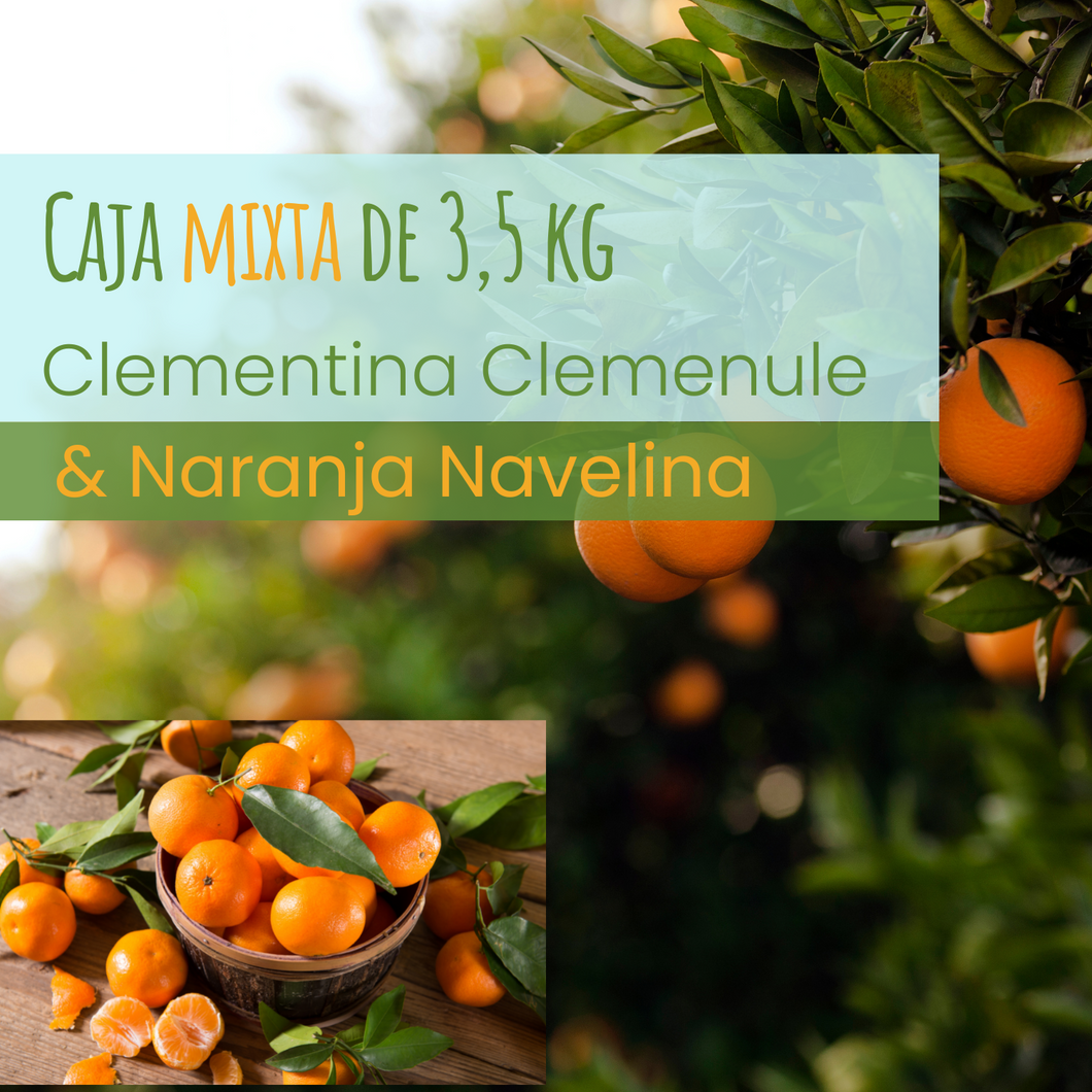 Caja MIXTA de clementinas CLEMENULES y naranjas NAVELINAS deValencia - 3,5 kg